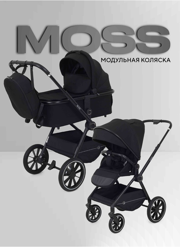 Коляска 2 в 1 Rant Moss 2025 RA321 Black
