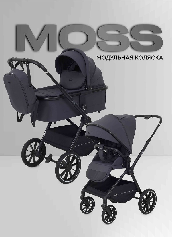 Коляска 2 в 1 Rant Moss 2025 RA321 Graphite