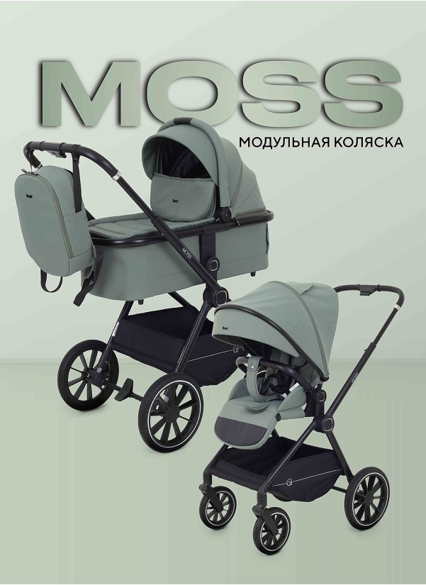 Коляска 2 в 1 Rant Moss 2025 RA321 Green