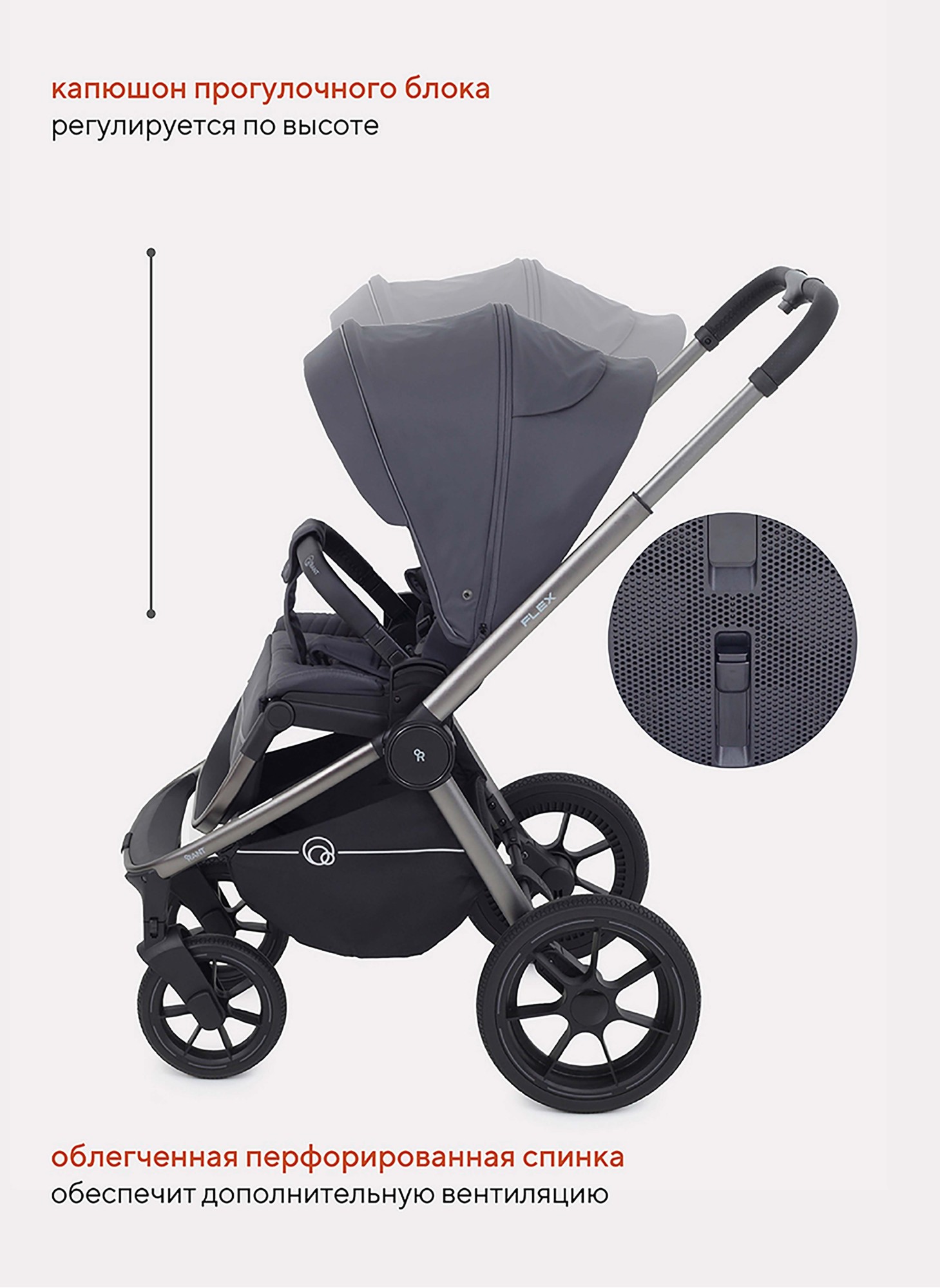 Коляска 2 в 1 Rant Flex Pro 2023 RA074 Graphite