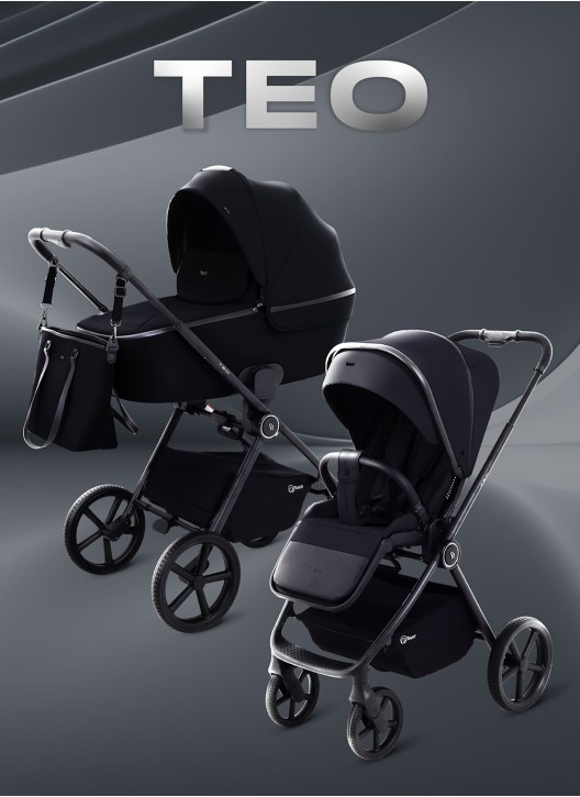 Коляска 2 в 1 Rant TEO RA120 Black