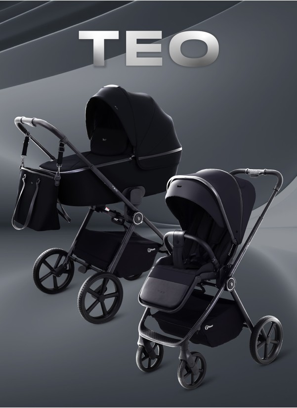 Коляска 2 в 1 Rant TEO RA120 Black
