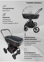 Rant Teo | Детская коляска 2 в 1 с амортизацией | Люлька и прогулочный реверсивный блок | Передние колеса - поворотные  с фиксацией передних | Цвет - графитовый