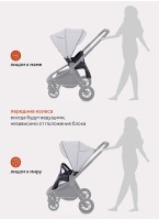 Rant Basic Energy коляска прогулочная серая с реверсивным блоком, с амортизацией и поворотными колесами, складная