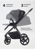 Rant Teo | Детская коляска 2 в 1 с амортизацией | Люлька и прогулочный реверсивный блок | Ненадувные колеса, передние колеса - поворотные  с фиксацией передних | Цвет - черный 