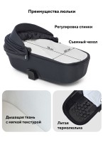 Rant Teo | Детская коляска 2 в 1 с амортизацией | Люлька и прогулочный реверсивный блок | Ненадувные колеса, передние колеса - поворотные  с фиксацией передних | Цвет - графитовый