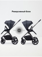 Rant Teo | Детская коляска 2 в 1 с амортизацией | Люлька и прогулочный реверсивный блок | Ненадувные колеса, передние колеса - поворотные  с фиксацией передних | Цвет - графитовый