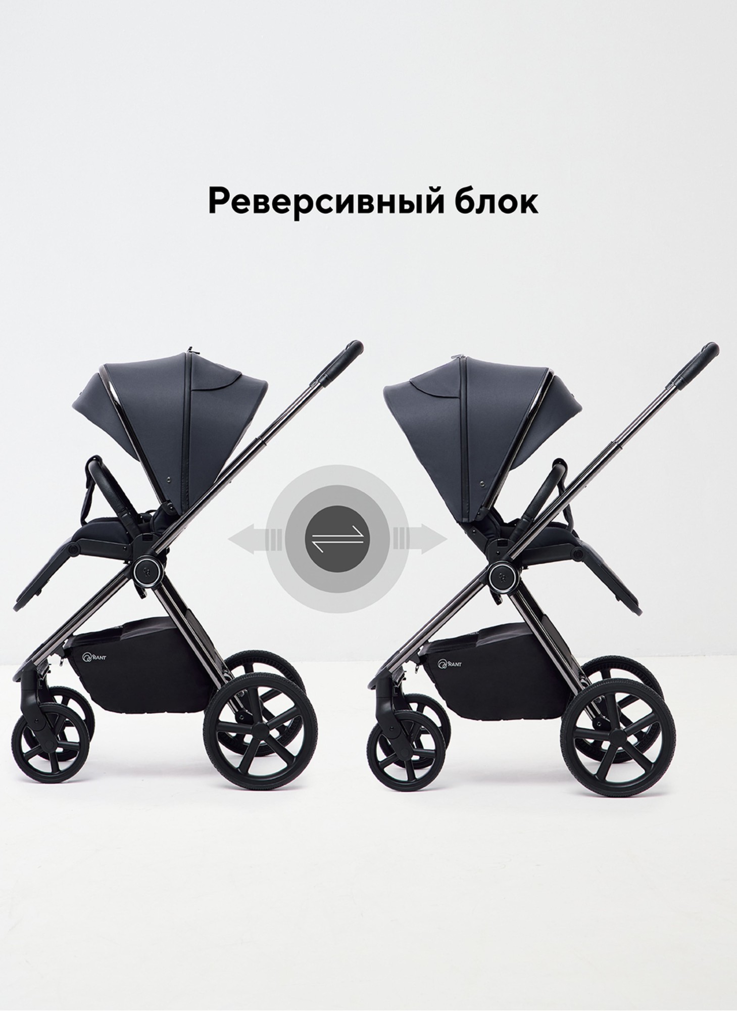 Rant Teo | Детская коляска 2 в 1 с амортизацией | Люлька и прогулочный реверсивный блок | Ненадувные колеса, передние колеса - поворотные  с фиксацией передних | Цвет - графитовый