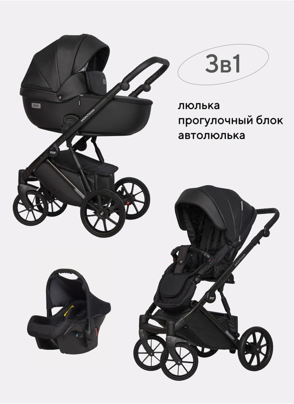 Коляска 3 в 1 Riko Basic Montana Ecco 12 Black