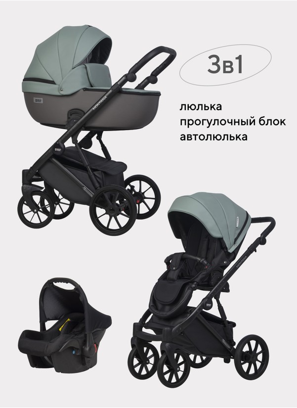 Коляска 3 в 1 Riko Basic Montana Ecco 30 Green-Grey