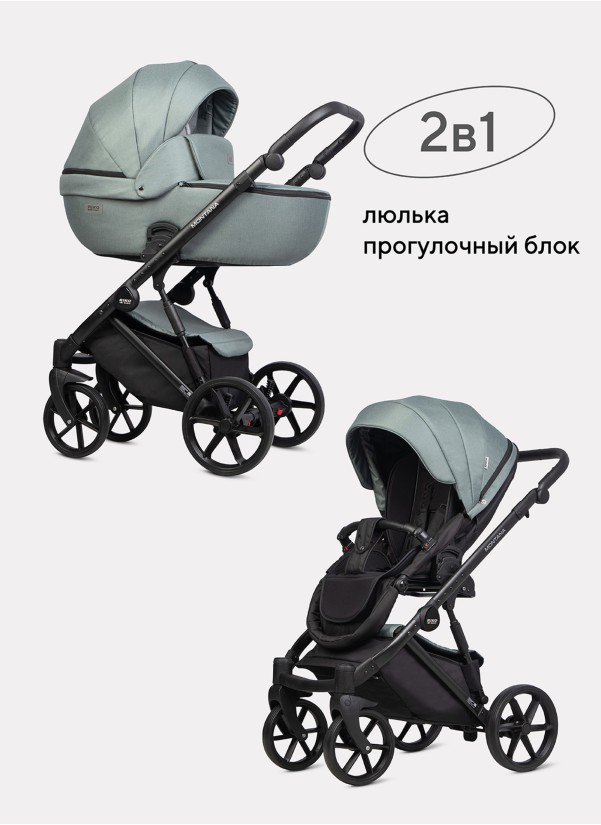 Коляска 2 в 1 Riko Basic Montana 2025 51 Green