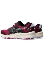 Кроссовки Asics TRABUCO TERRA 2 WMN