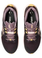 Кроссовки Asics TRABUCO TERRA 2 WMN